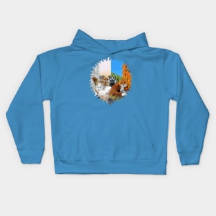 Four Shades of Fox Kids Hoodie